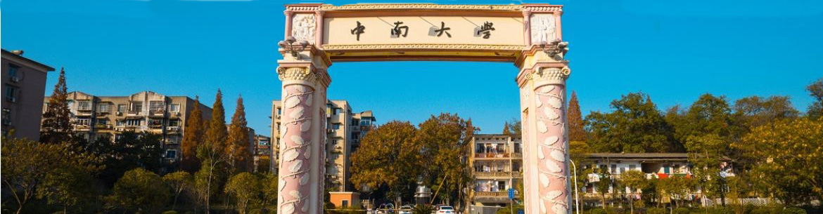 Central South University
