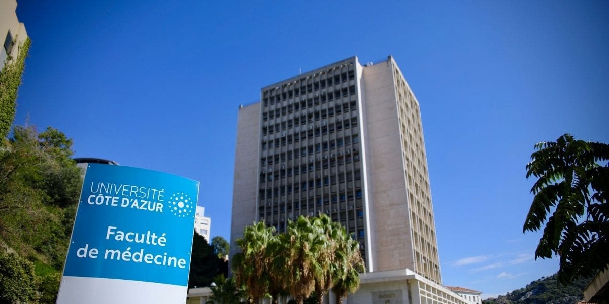 Université Côte D'Azur