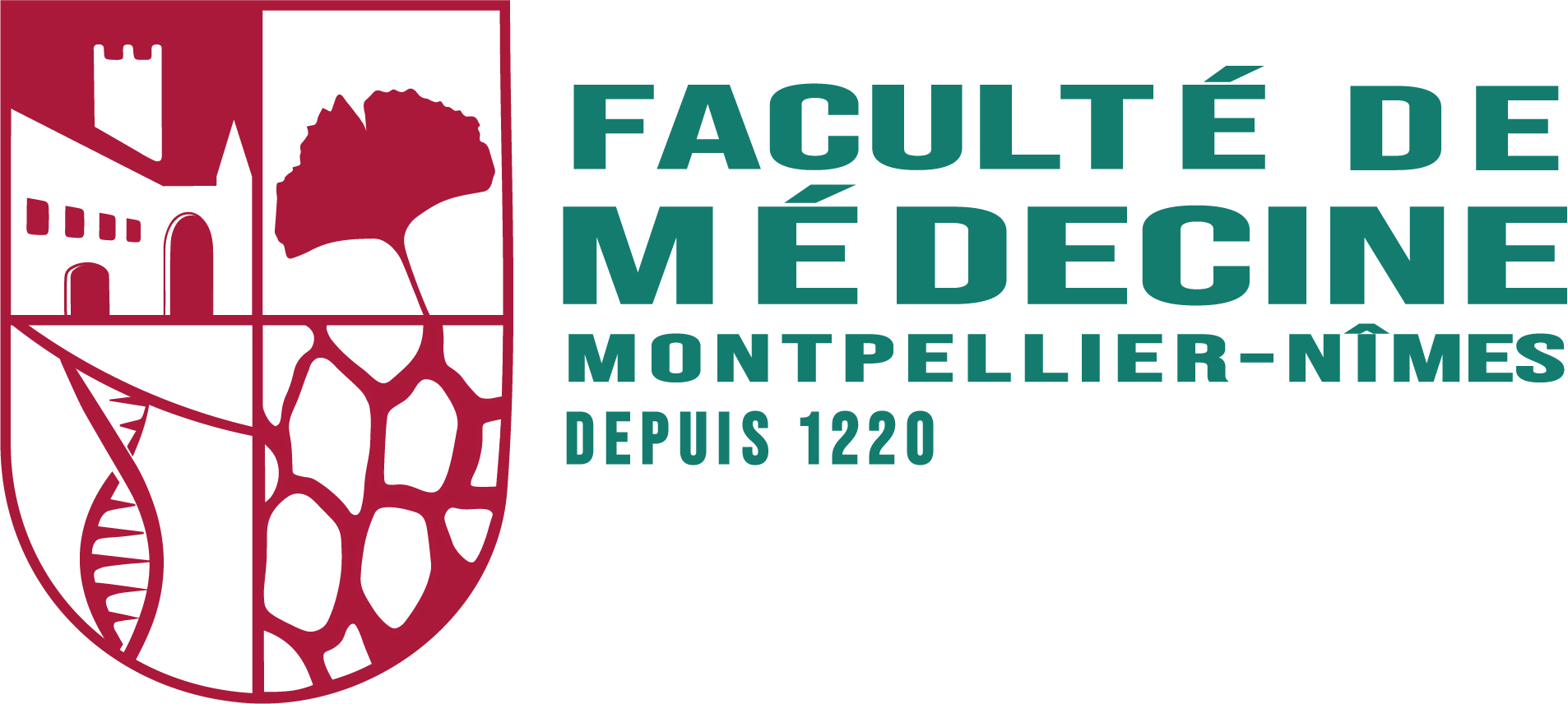 Université Montpellier